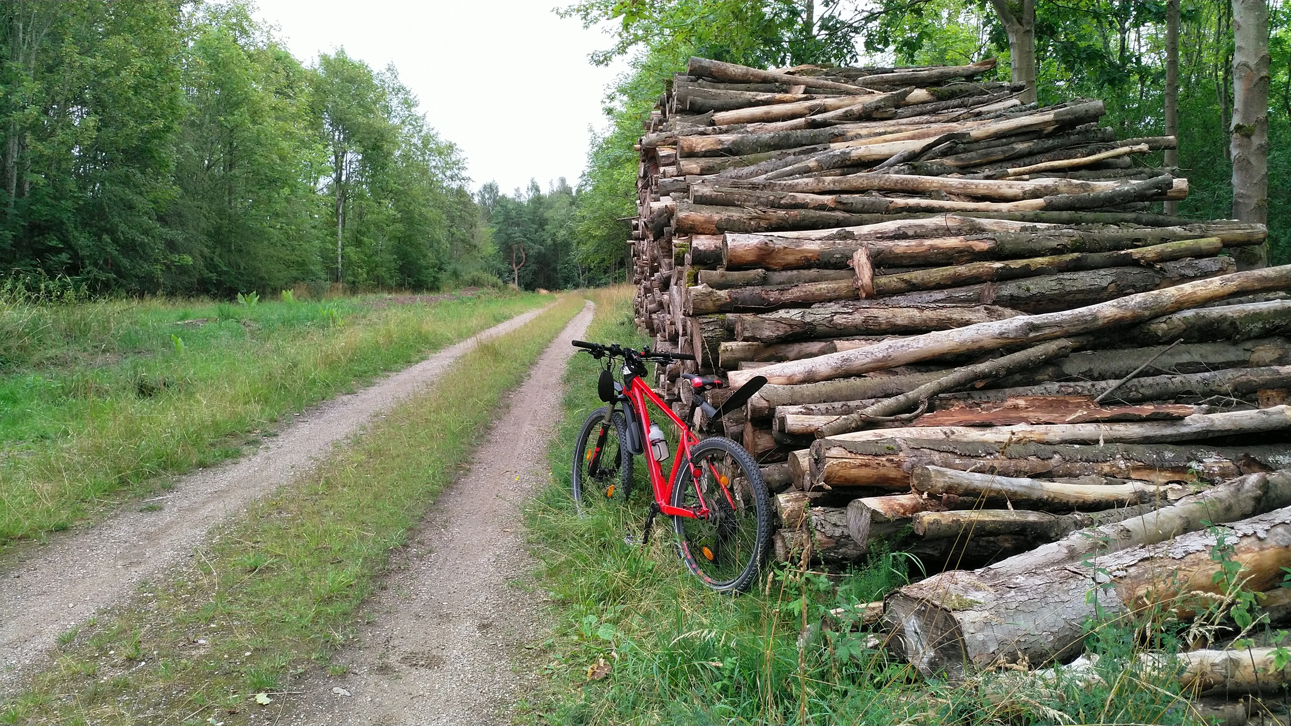 The Red Horse - KP and his MTB, Part 1: [2018 - 2020]