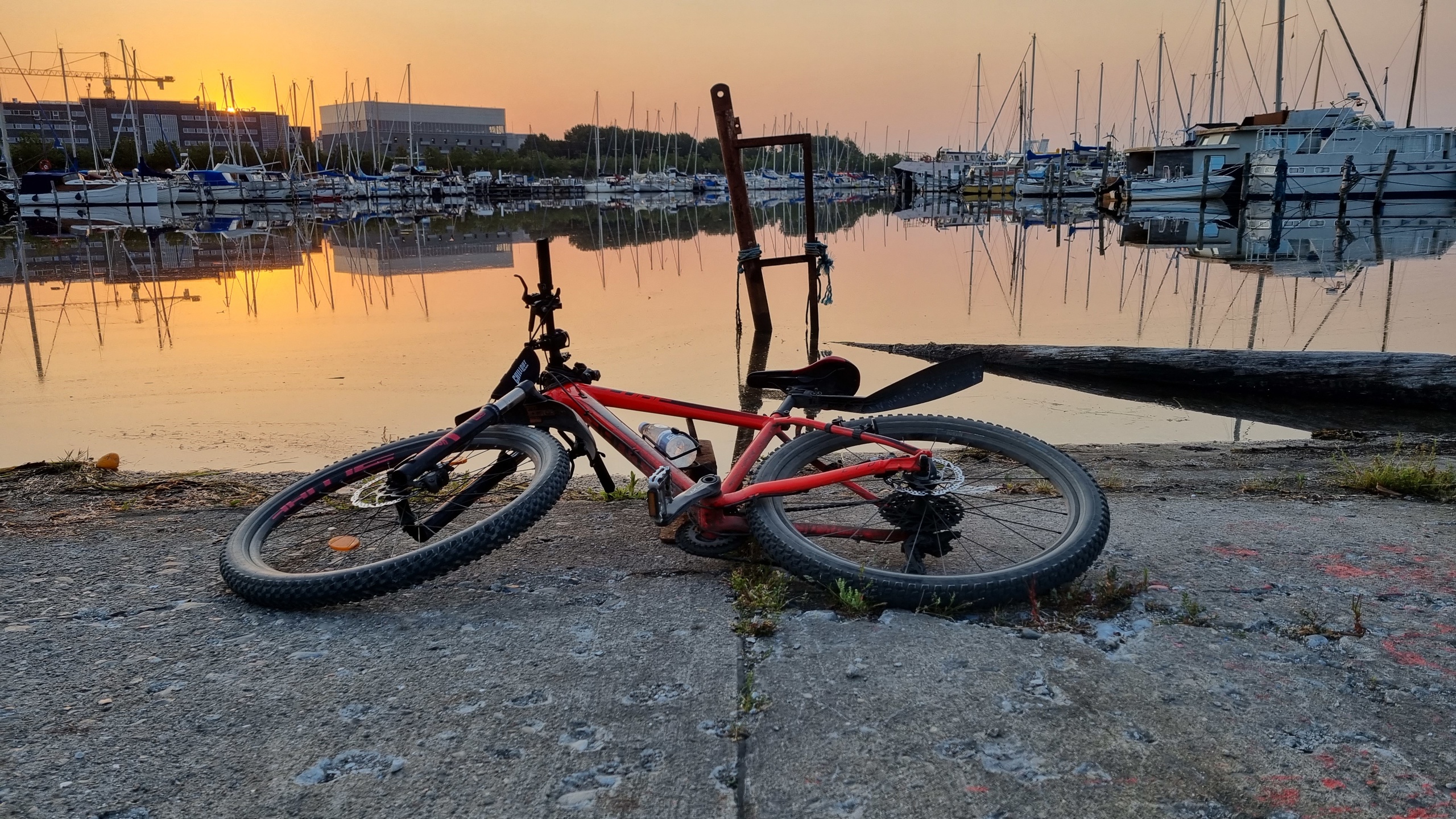 The Red Horse - KP and his MTB, Part 2: [2021 - 202?]